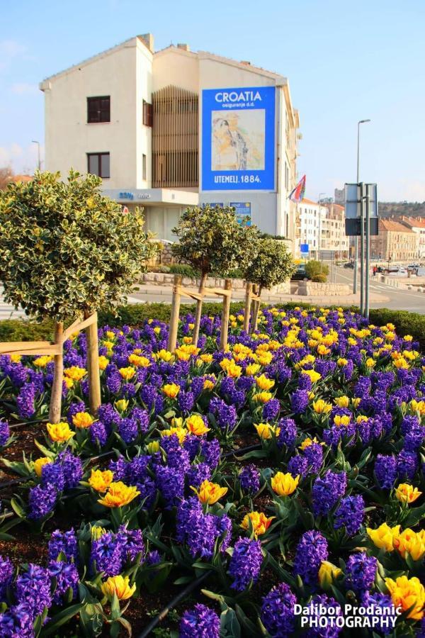 Apartment Valiza Iii Large - 3 Bedrooms And Parking Space I Valiza Iv Senj (Lika-Senj)