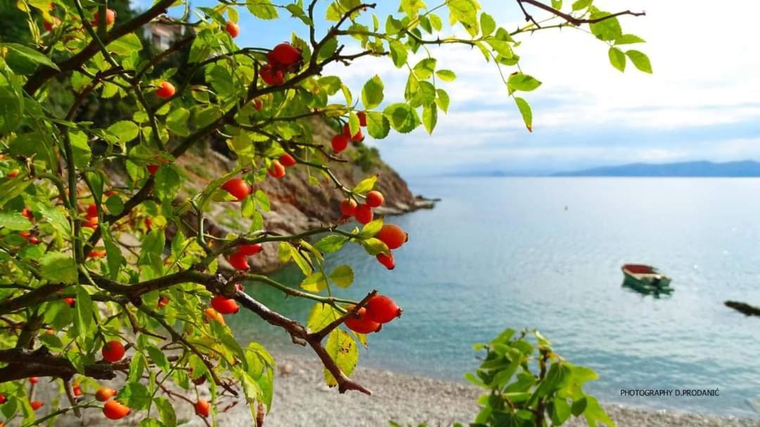 Valiza Iii Large - 3 Bedrooms And Parking Space I Valiza Iv * Senj (Lika-Senj)